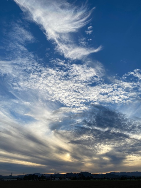 Video leaks misunderstooood