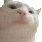 mmddg Profile Picture