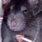 Molotov_cockteez molotov_cockteez Leaked OnlyFans 

 profile picture