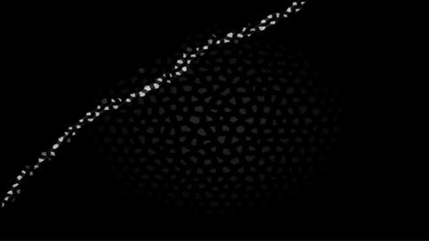 Video leaks morgan-white