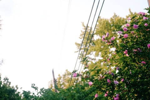 Video leaks morgantrinity