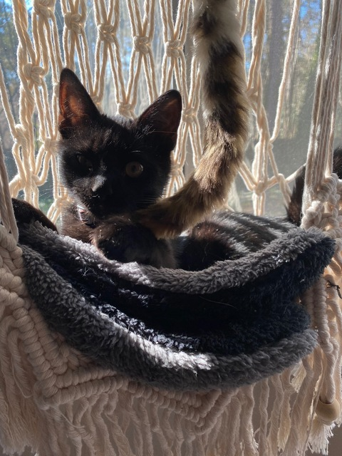 Video leaks mskirakira