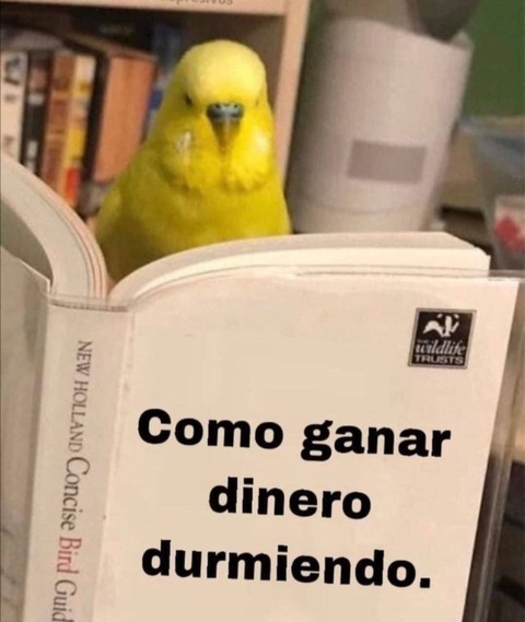 Video leaks mujerdivinaa