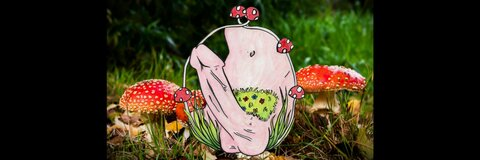 Video leaks mushroombuddy