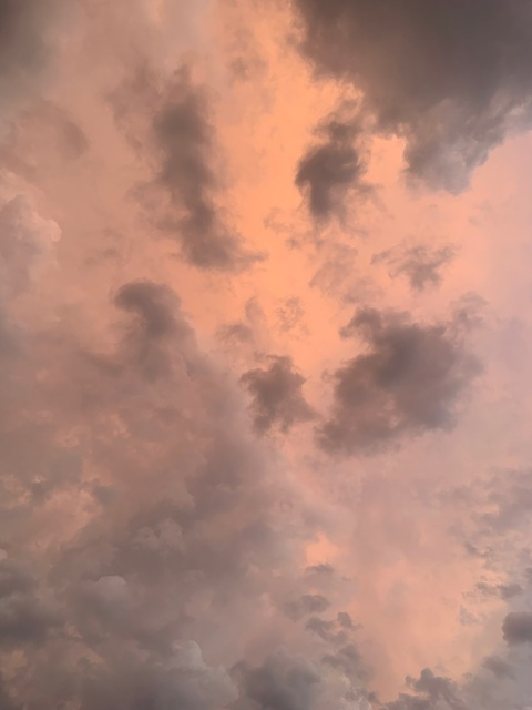 Video leaks mutablekitty