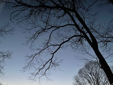 Video leaks myonlyadventurez