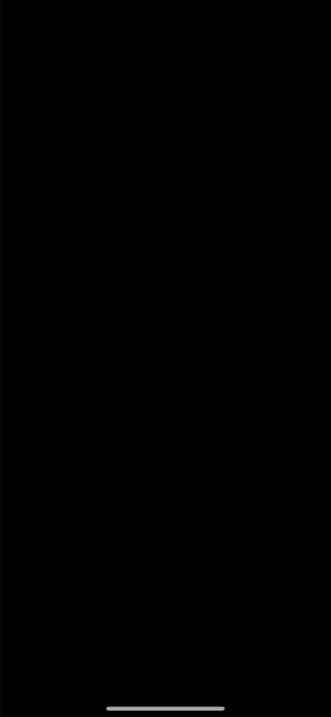 Video leaks mysteriouspair