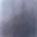 nastynellv Profile Picture