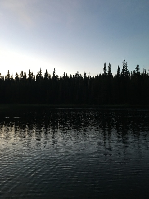 Video leaks naughtycarebear69