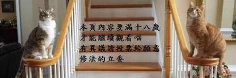 Video leaks navycat2