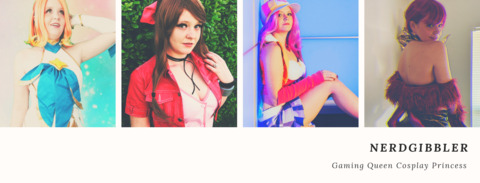 Video leaks nerdgibbler