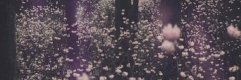 Video leaks nichelley72