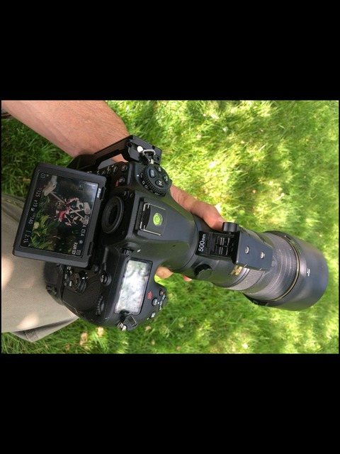 Video leaks nicksphotography