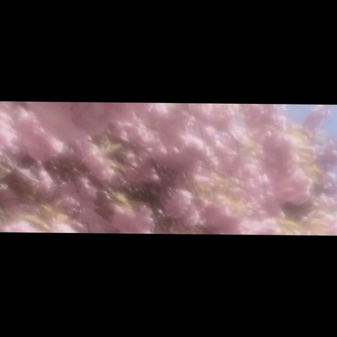 Video leaks nicolefass