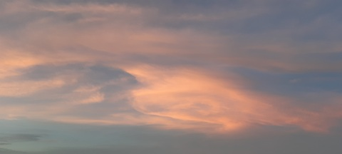 Video leaks niederle