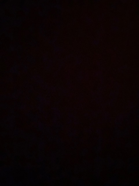 Video leaks nikkiebadd