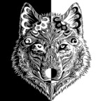 noireros Profile Picture