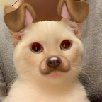noonz (n00nz) OnlyFans content 

 profile picture