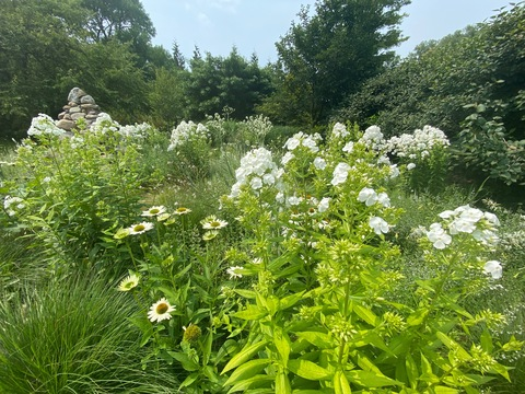 Video leaks notorious_bi.itch