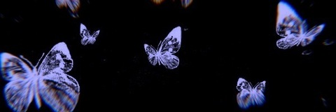 Video leaks notsarahconnor