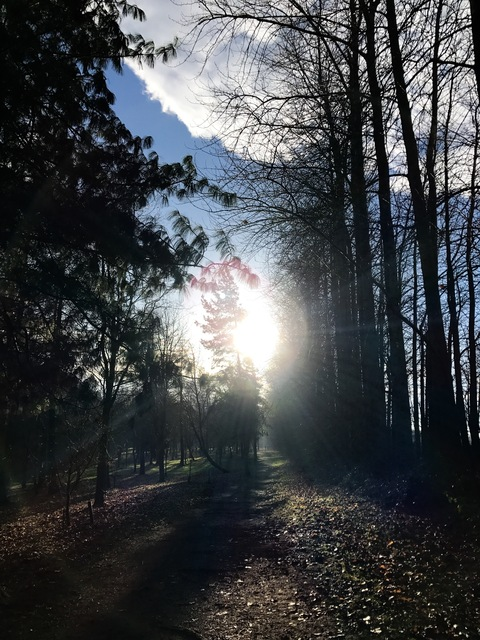 Video leaks notyouraveragee