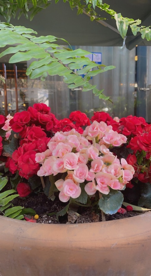 Video leaks notyourgirlofc