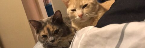 Video leaks nutmegspice24