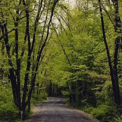 Video leaks nwindsor95