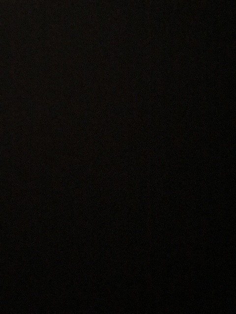 Video leaks officiallytheerealjt