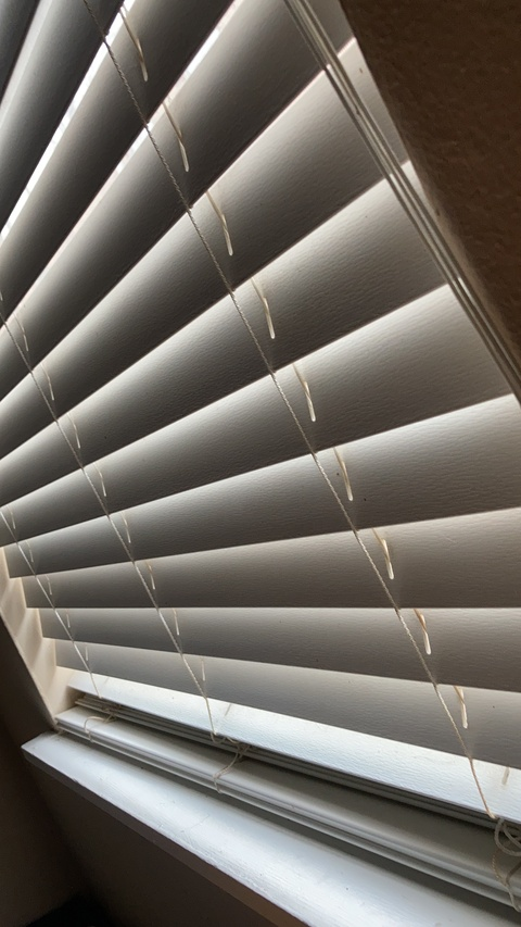 Video leaks oklahomasugar