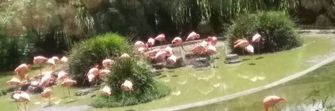 Video leaks olgabathoryh