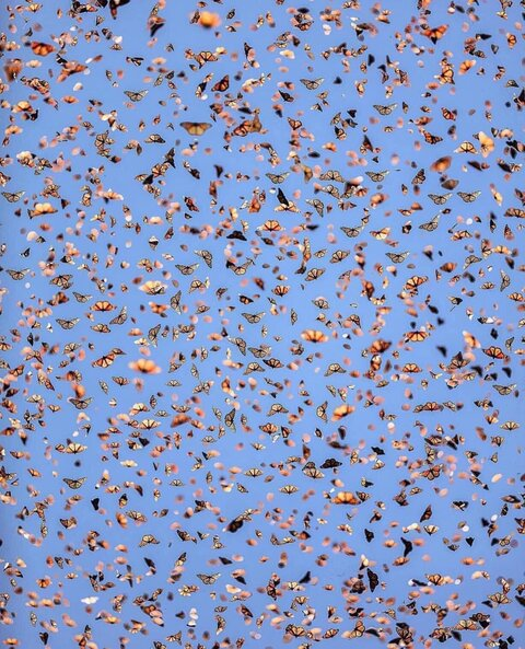 Video leaks omgjulissa