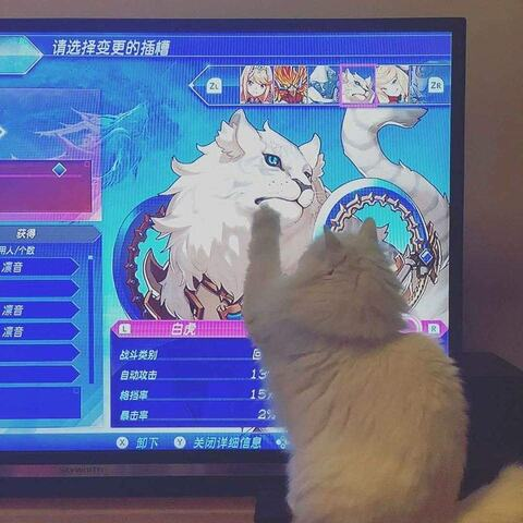 Video leaks omorimeow