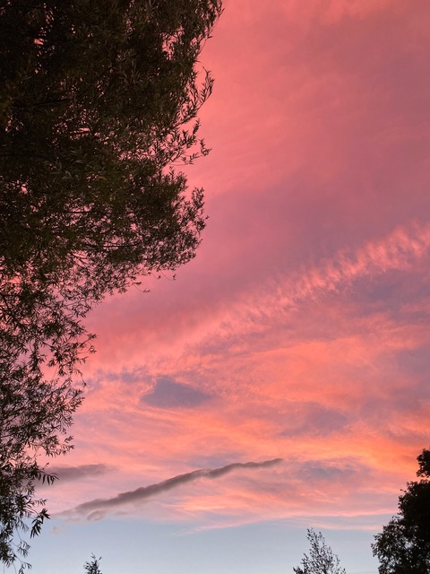 Video leaks onlyerinn