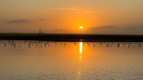 Video leaks oohboy926