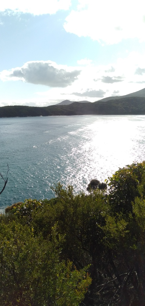 Video leaks ordinalline