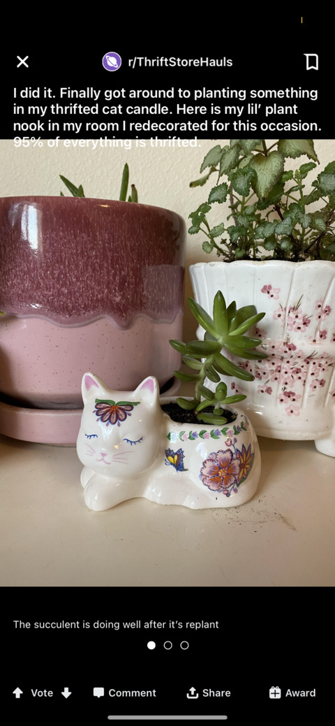 Video leaks p0mbabie