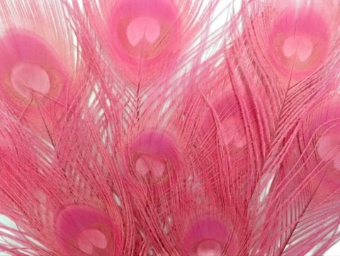 Video leaks palmitageez