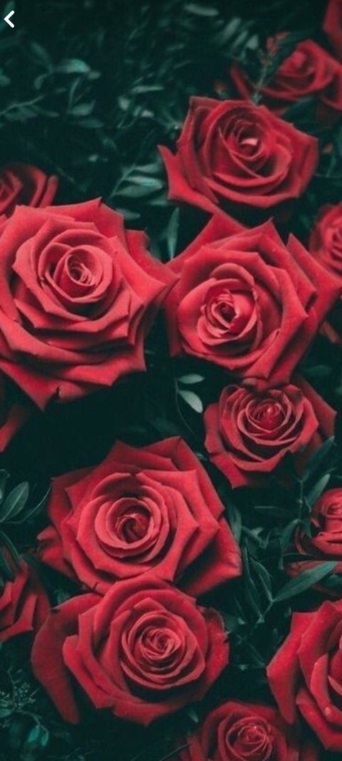 Video leaks pamela97