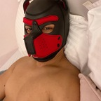 panda_a_le Profile Picture