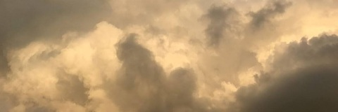 Video leaks panickingxmanic