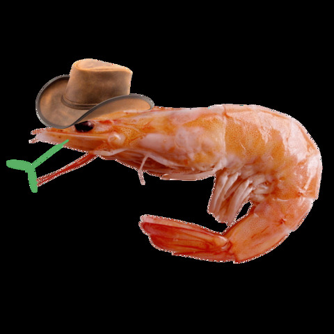 Video leaks pasteldemon