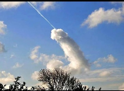 Video leaks patty_dem_cakes