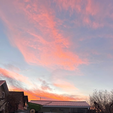 Video leaks pattywap