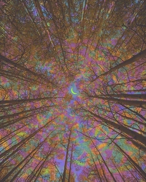 Video leaks pcassshhh