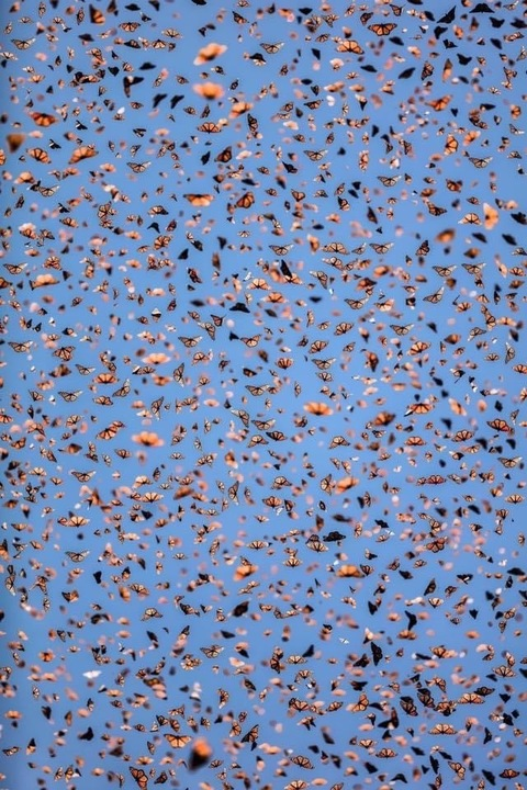 Video leaks peachy2002