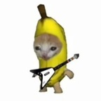 Onlyfans leaks pedra 

 profile picture