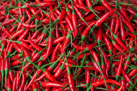 Video leaks pepperflavor