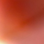 Phantasm phantasmsix Leak OnlyFans 

 profile picture