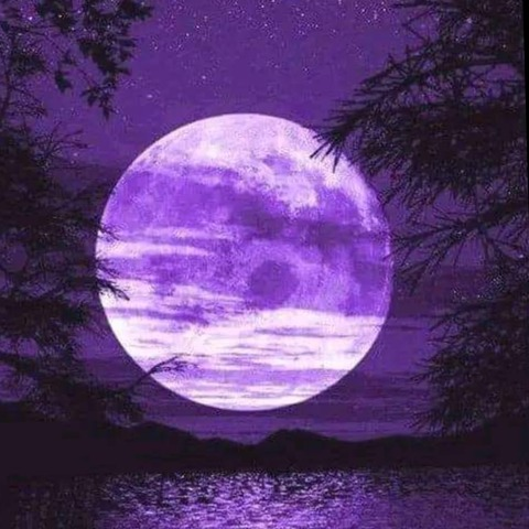 Video leaks phoenixxrisingspirit